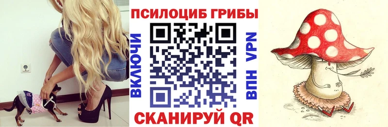 Купить где  Бутурлиновка  Галлюциногенные грибы Cubensis 